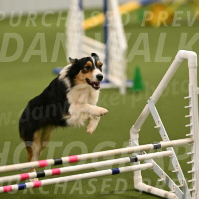 Lovey-Dovey-Yvette-Shipman-06673