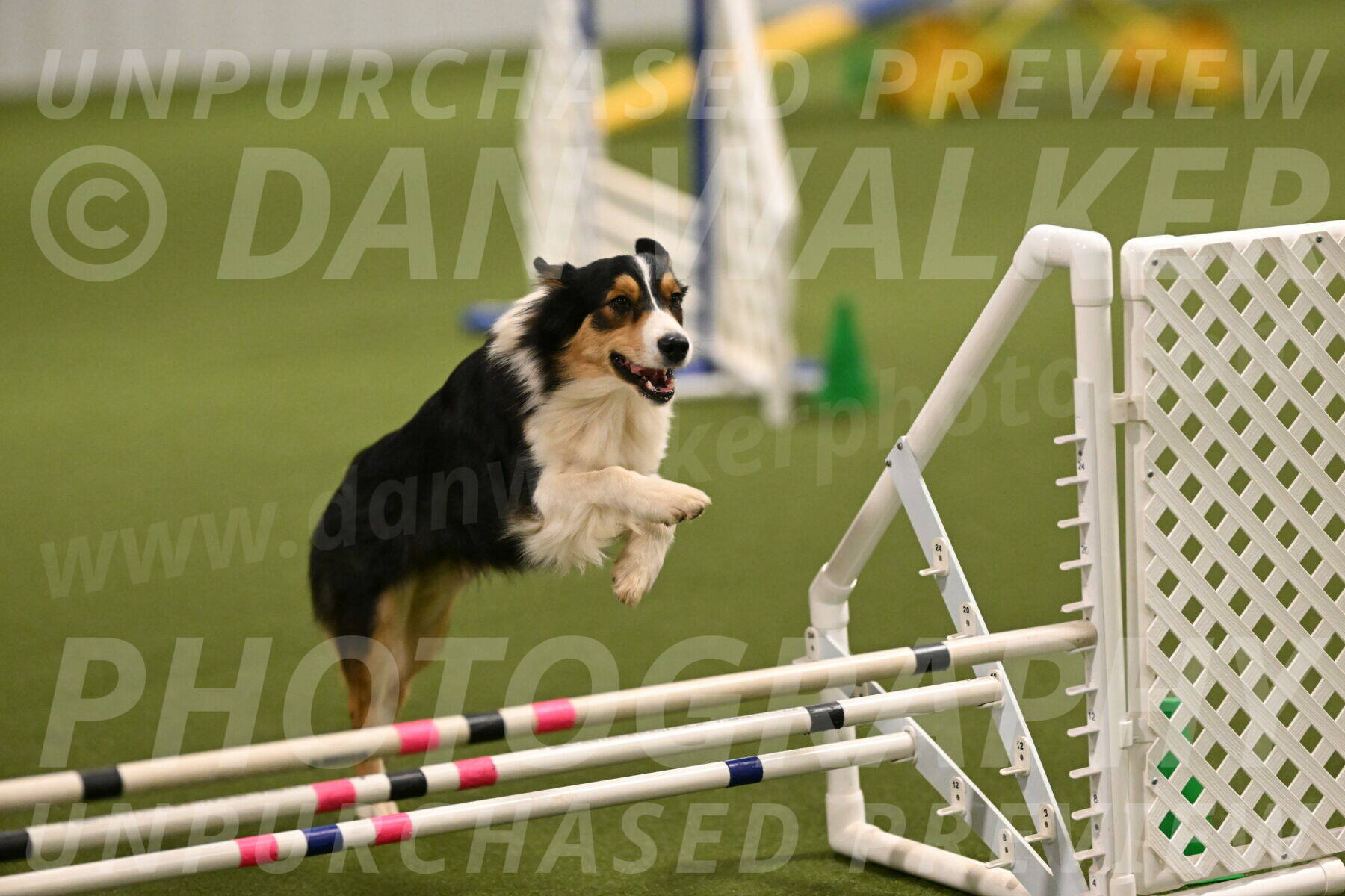 Lovey-Dovey-Yvette-Shipman-06673