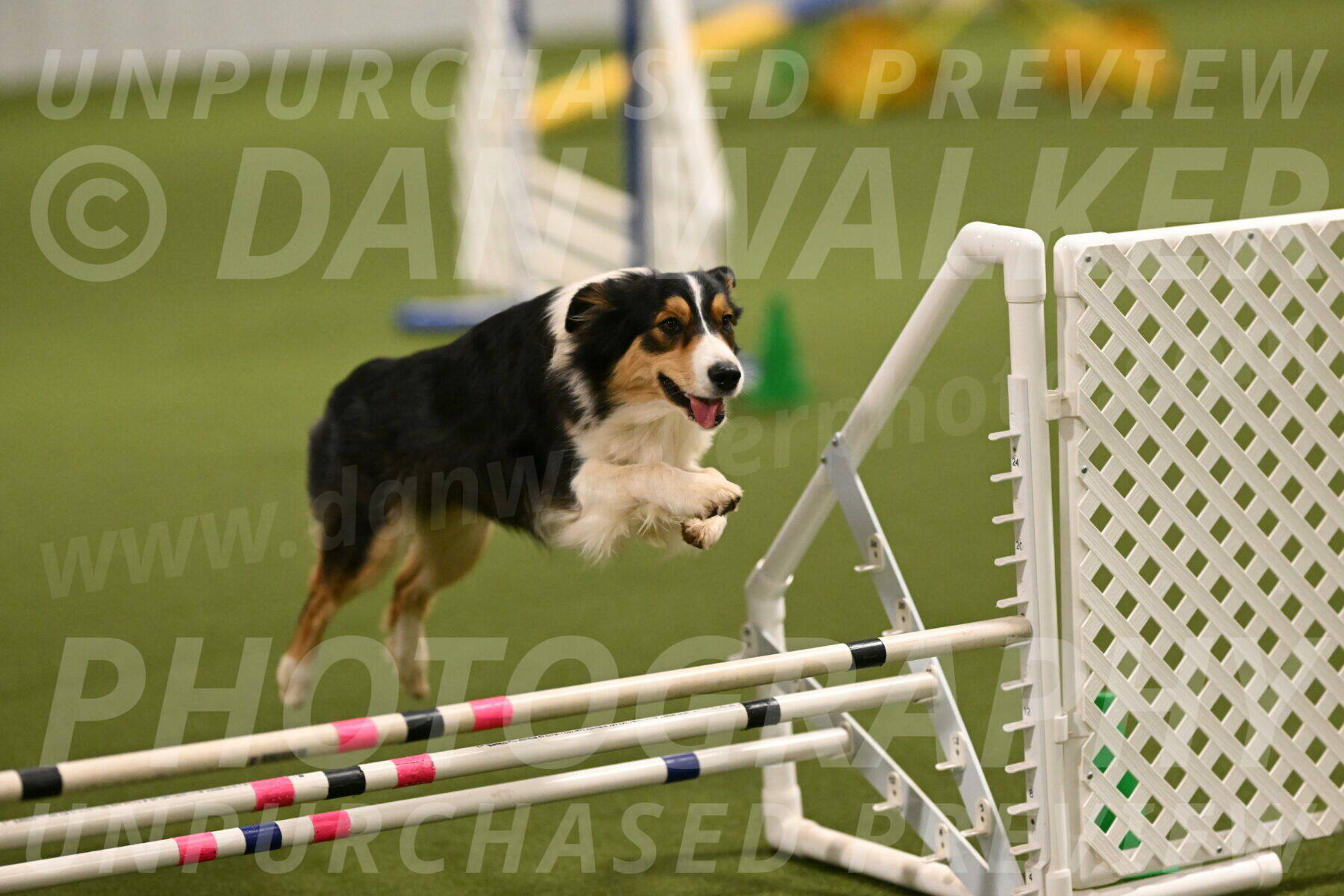 Lovey-Dovey-Yvette-Shipman-06674