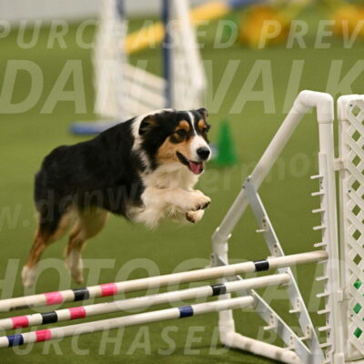 Lovey-Dovey-Yvette-Shipman-06674