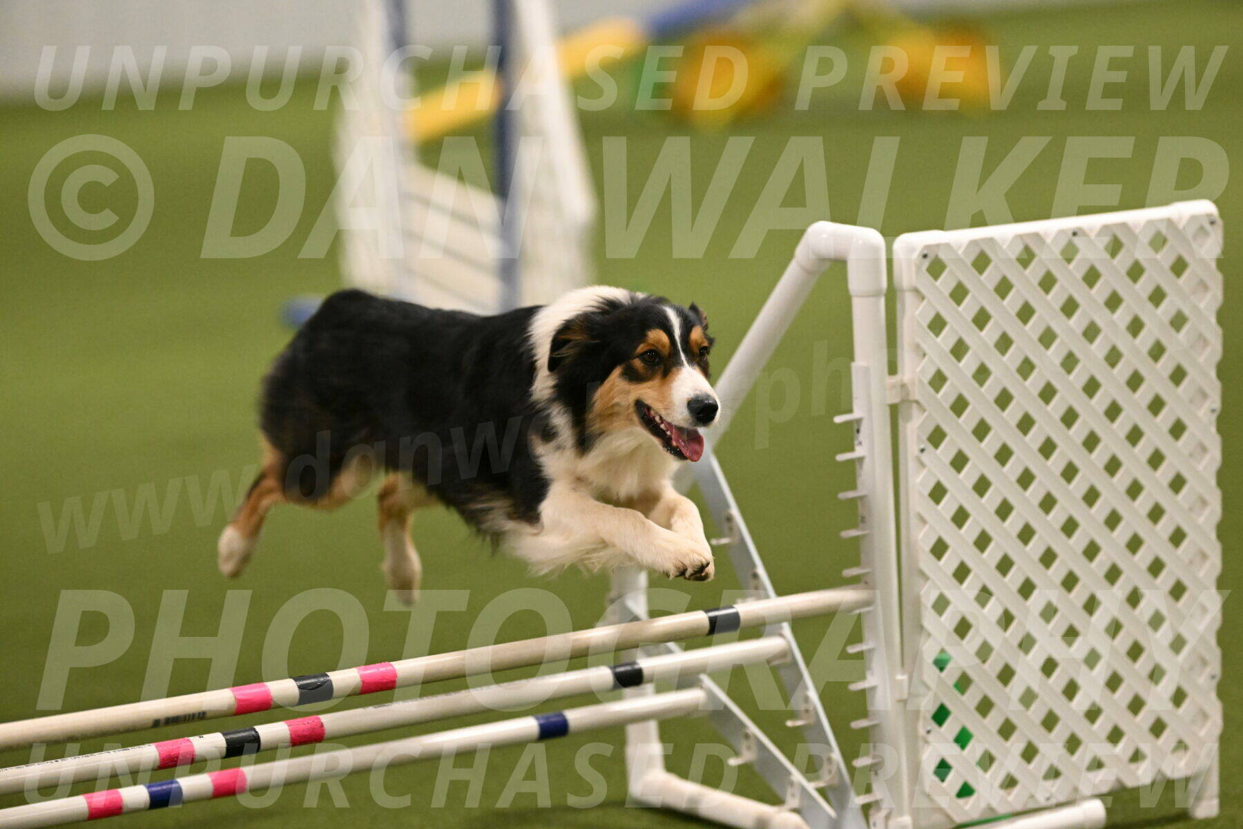 Lovey-Dovey-Yvette-Shipman-06675