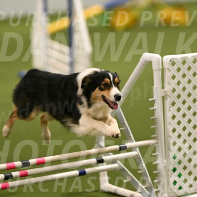 Lovey-Dovey-Yvette-Shipman-06675