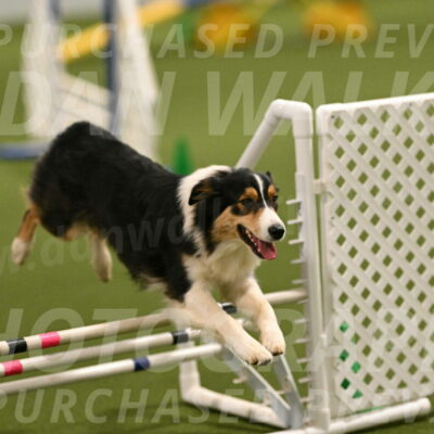 Lovey-Dovey-Yvette-Shipman-06676