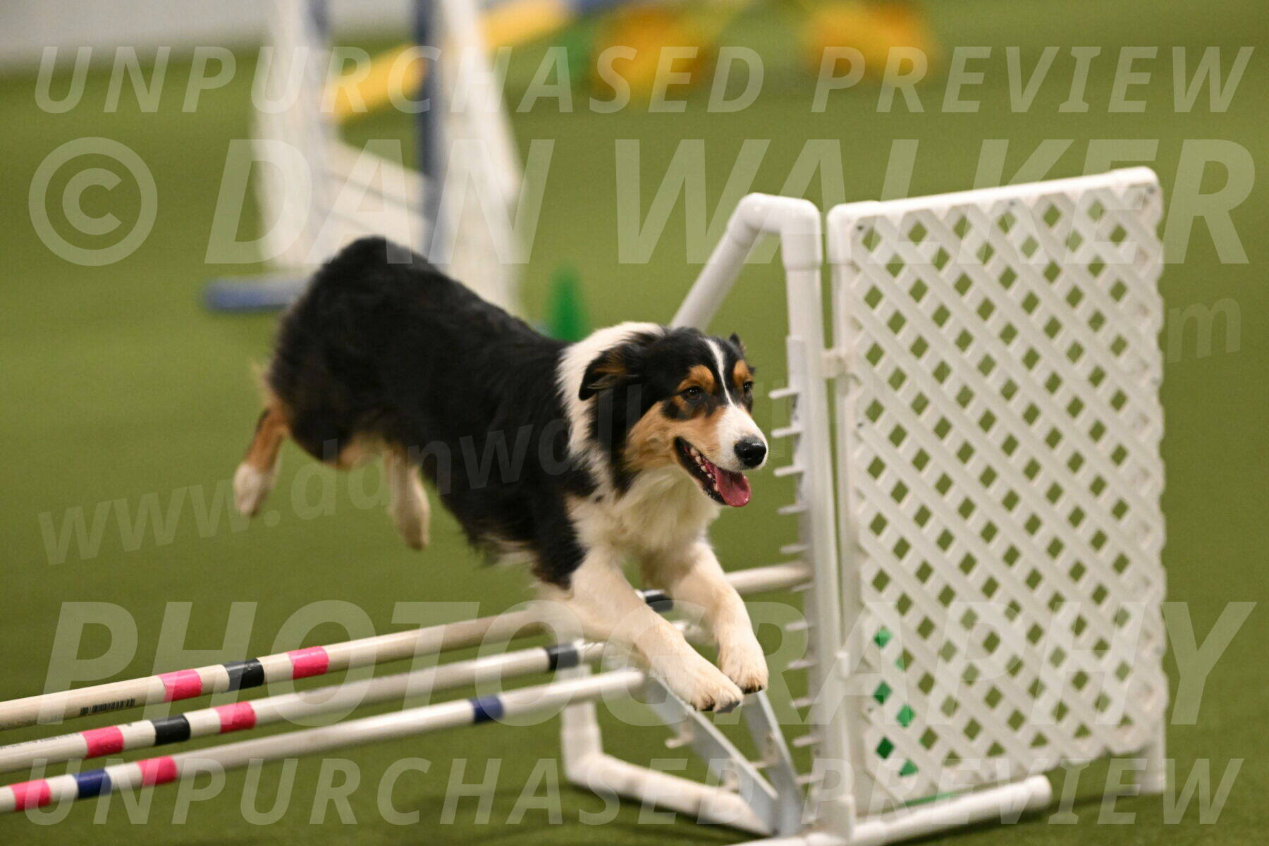 Lovey-Dovey-Yvette-Shipman-06676