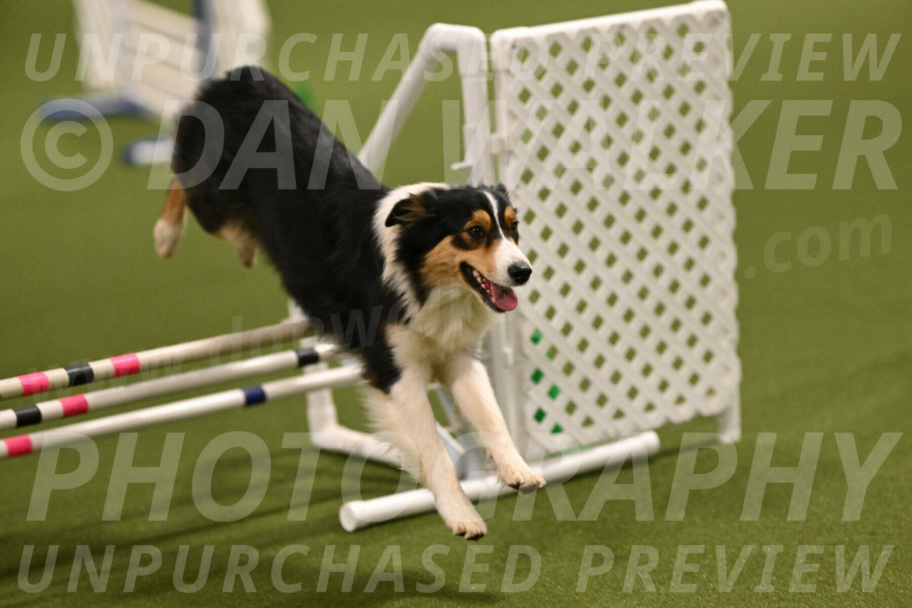 Lovey-Dovey-Yvette-Shipman-06677