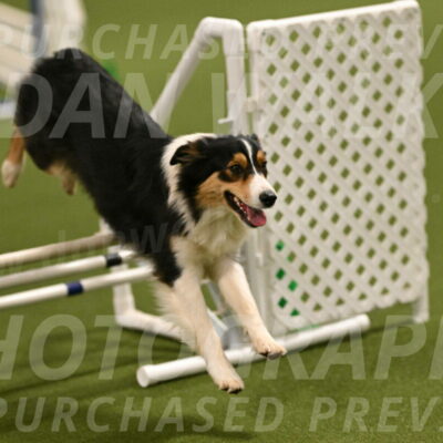 Lovey-Dovey-Yvette-Shipman-06677