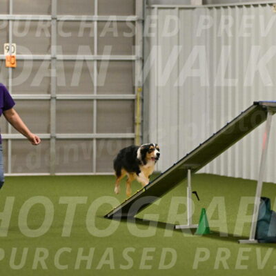 Lovey-Dovey-Yvette-Shipman-06678