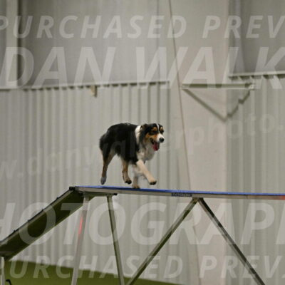 Lovey-Dovey-Yvette-Shipman-06679