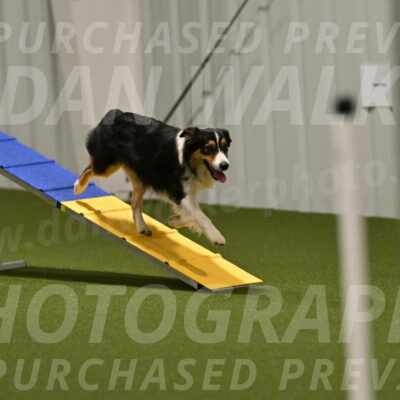 Lovey-Dovey-Yvette-Shipman-06680