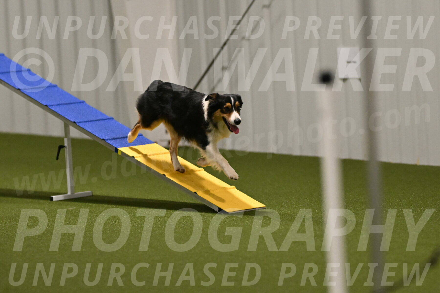 Lovey-Dovey-Yvette-Shipman-06680