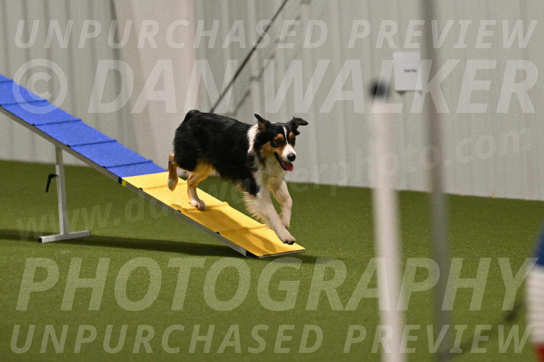 Lovey-Dovey-Yvette-Shipman-06681