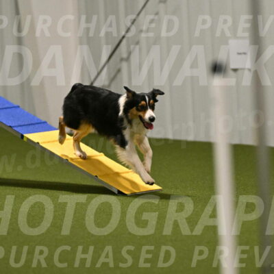 Lovey-Dovey-Yvette-Shipman-06681