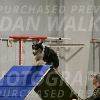 Lovey-Dovey-Yvette-Shipman-06682