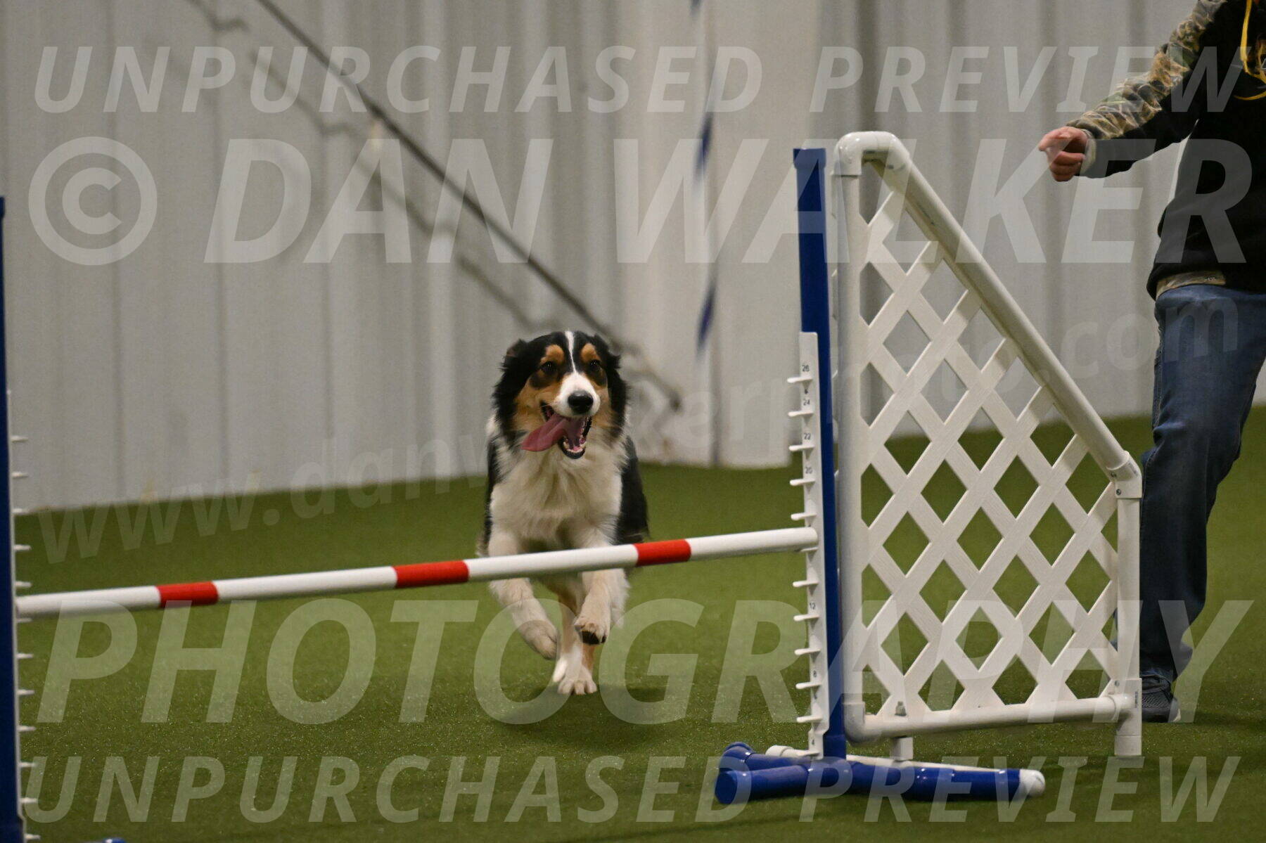 Lovey-Dovey-Yvette-Shipman-06683