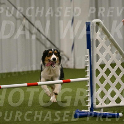 Lovey-Dovey-Yvette-Shipman-06683