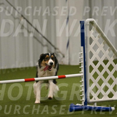 Lovey-Dovey-Yvette-Shipman-06684