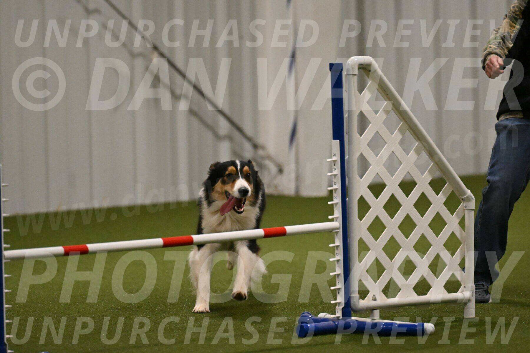 Lovey-Dovey-Yvette-Shipman-06684