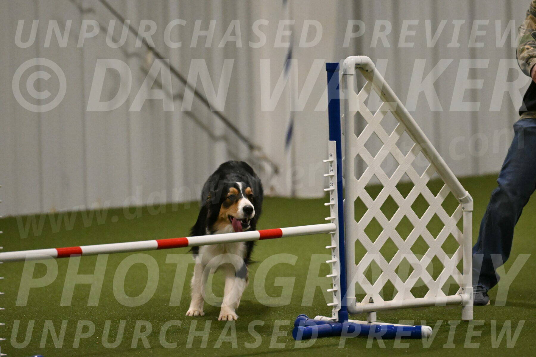 Lovey-Dovey-Yvette-Shipman-06685