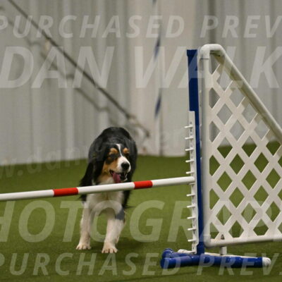 Lovey-Dovey-Yvette-Shipman-06685