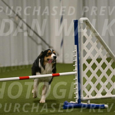 Lovey-Dovey-Yvette-Shipman-06686