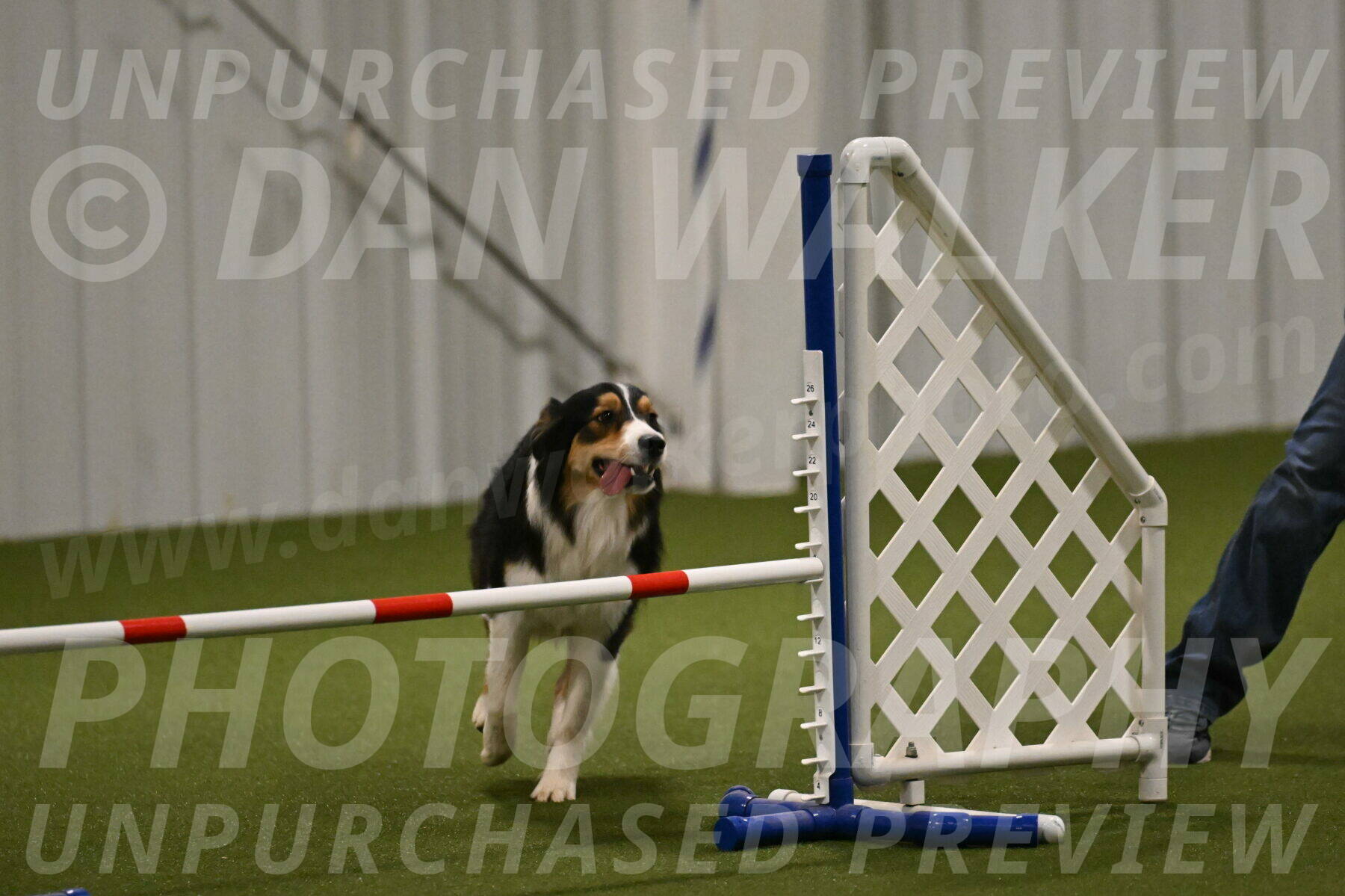 Lovey-Dovey-Yvette-Shipman-06686