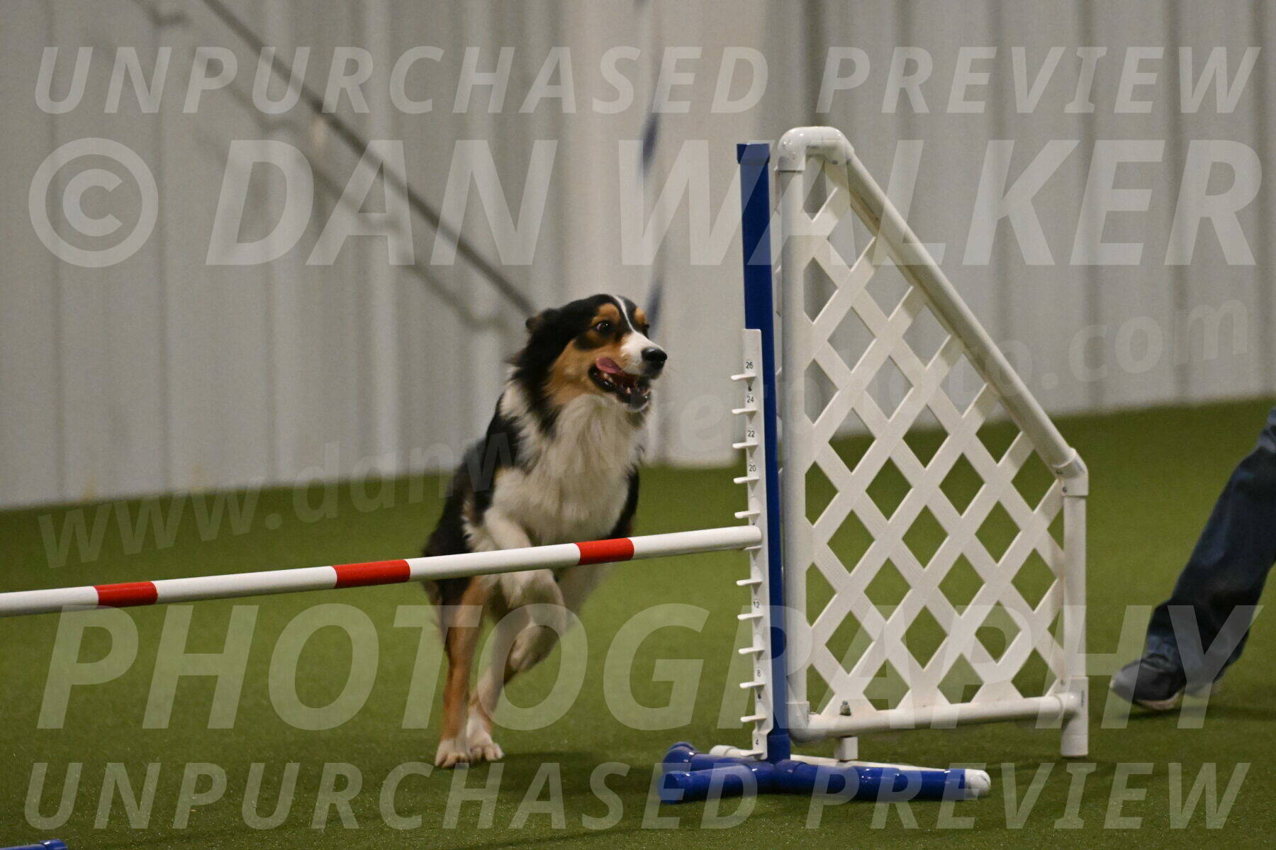 Lovey-Dovey-Yvette-Shipman-06687