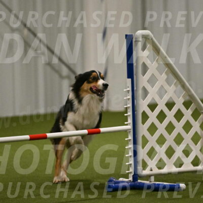 Lovey-Dovey-Yvette-Shipman-06687