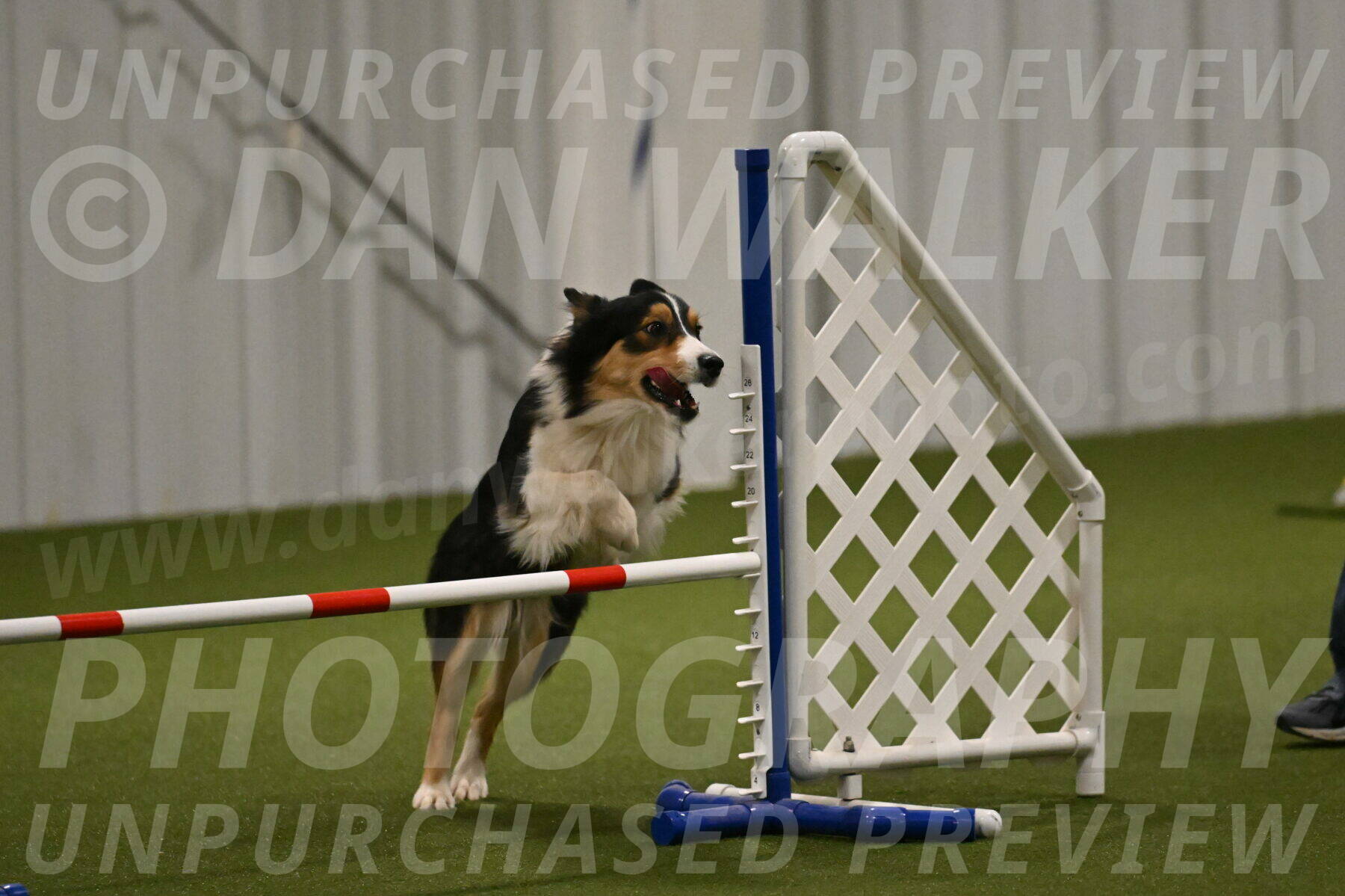 Lovey-Dovey-Yvette-Shipman-06688