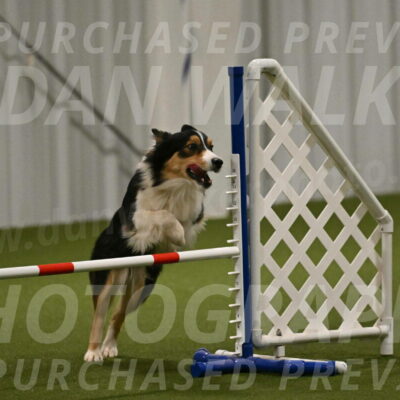 Lovey-Dovey-Yvette-Shipman-06688