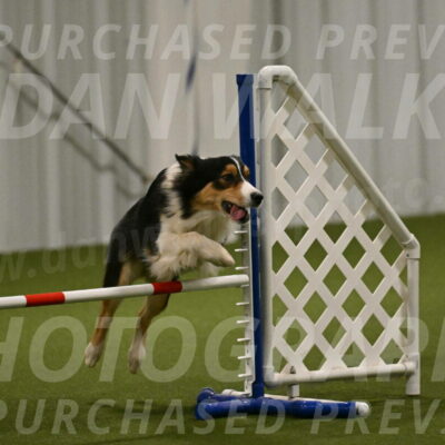 Lovey-Dovey-Yvette-Shipman-06689