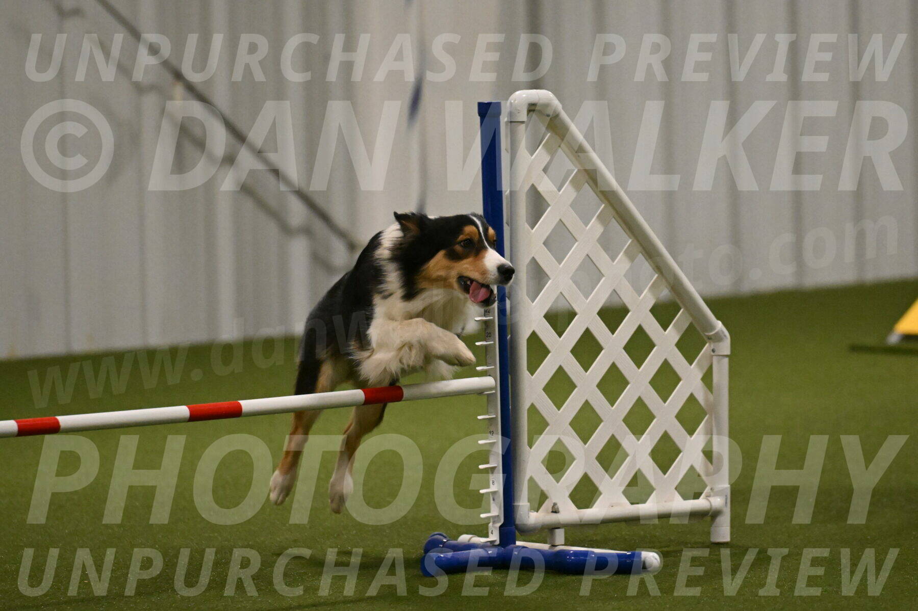 Lovey-Dovey-Yvette-Shipman-06689