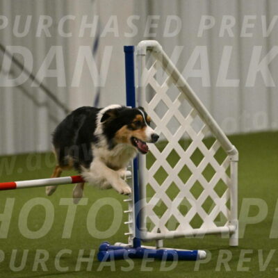 Lovey-Dovey-Yvette-Shipman-06690