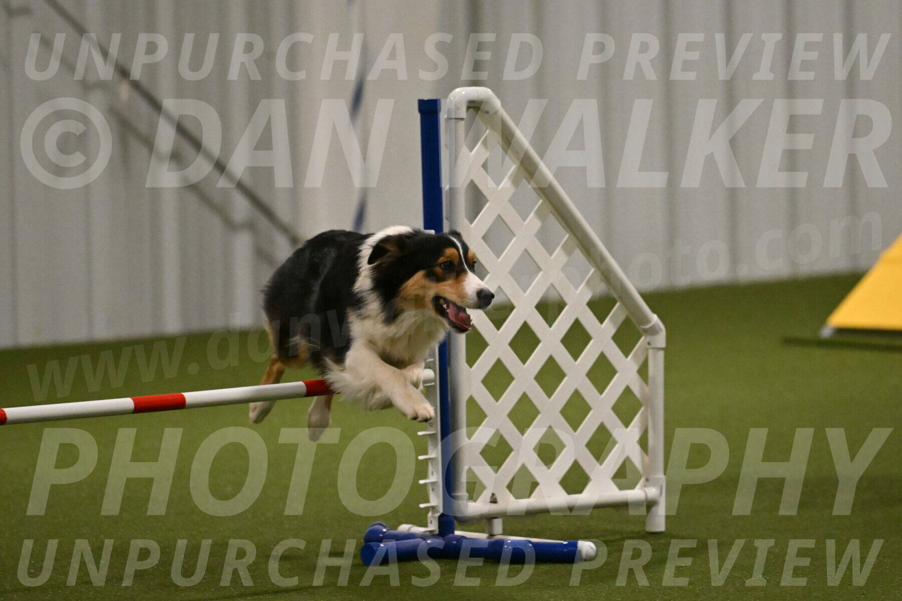 Lovey-Dovey-Yvette-Shipman-06690