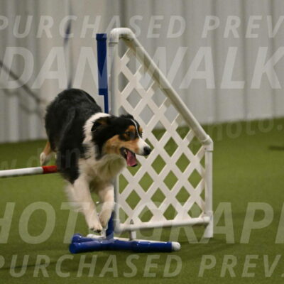 Lovey-Dovey-Yvette-Shipman-06691