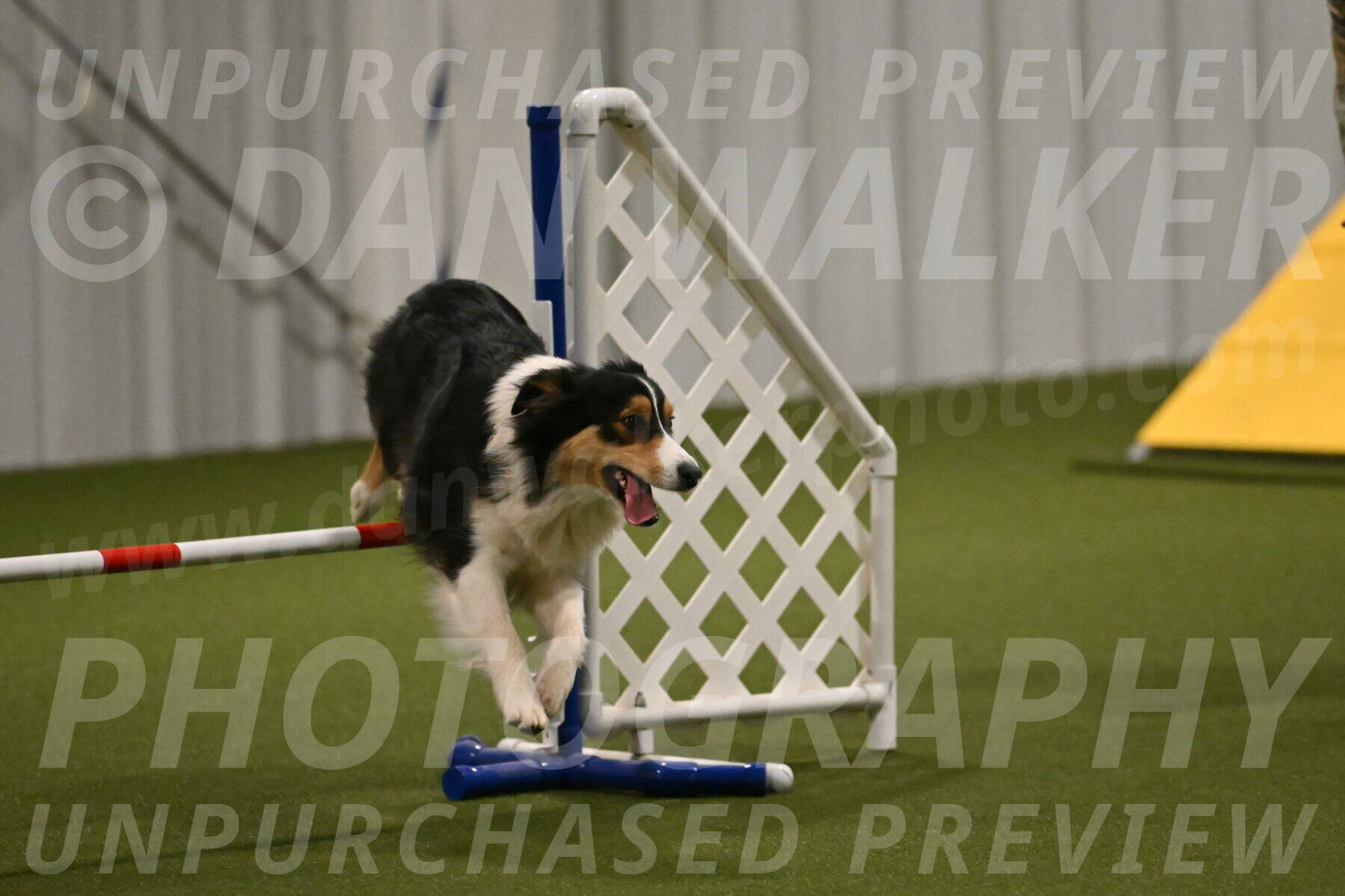 Lovey-Dovey-Yvette-Shipman-06691