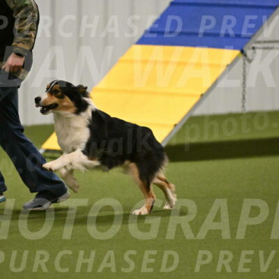 Lovey-Dovey-Yvette-Shipman-06692