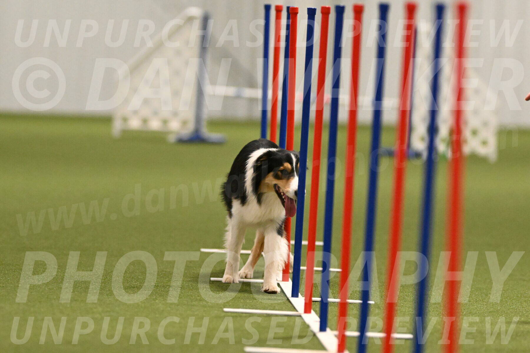 Lovey-Dovey-Yvette-Shipman-06693