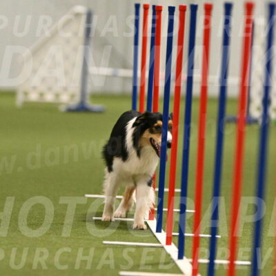 Lovey-Dovey-Yvette-Shipman-06694