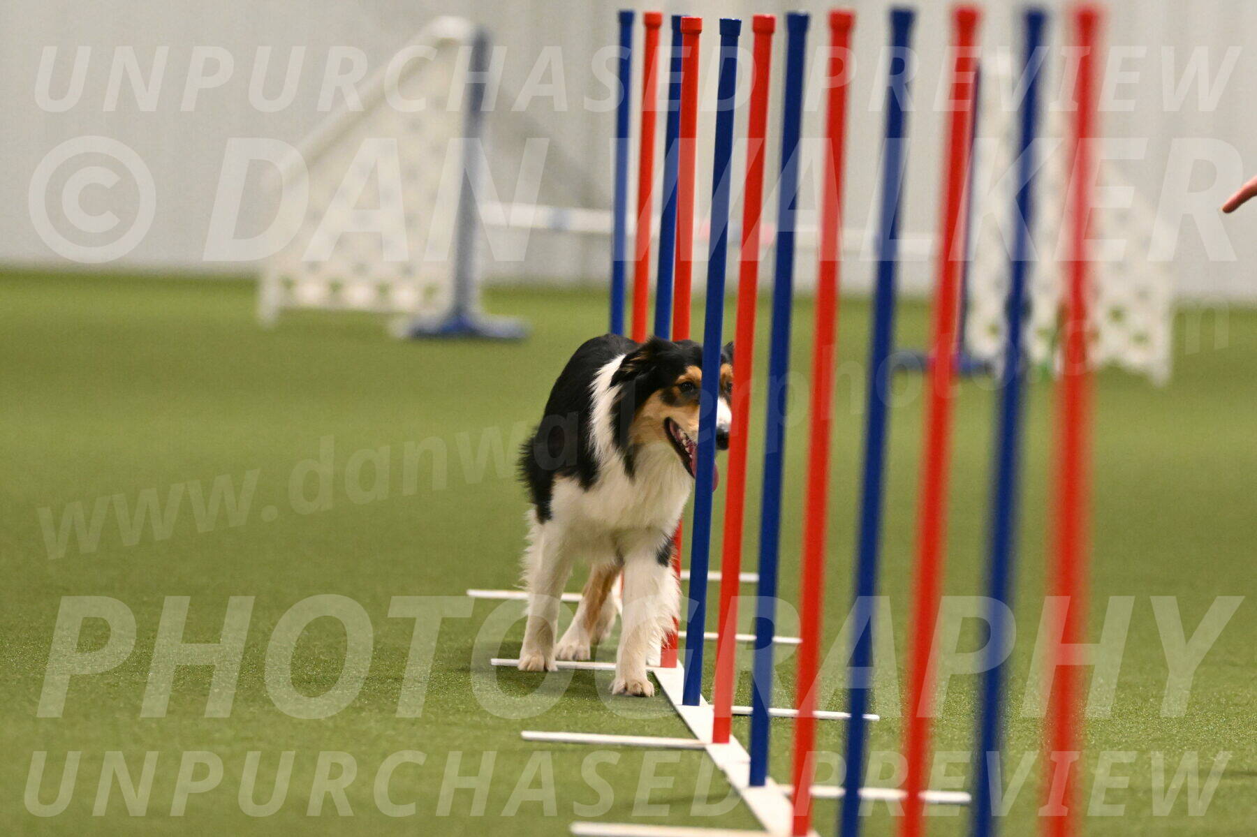 Lovey-Dovey-Yvette-Shipman-06694