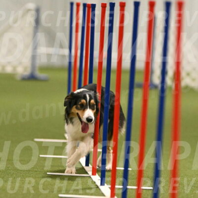 Lovey-Dovey-Yvette-Shipman-06695