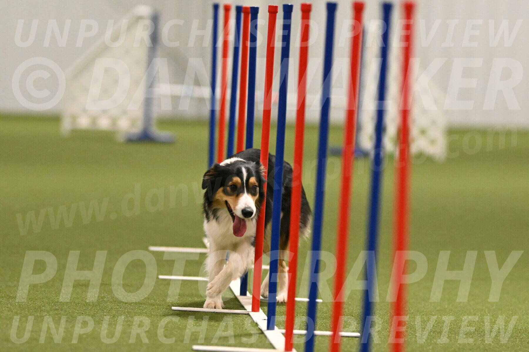 Lovey-Dovey-Yvette-Shipman-06695