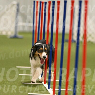 Lovey-Dovey-Yvette-Shipman-06696