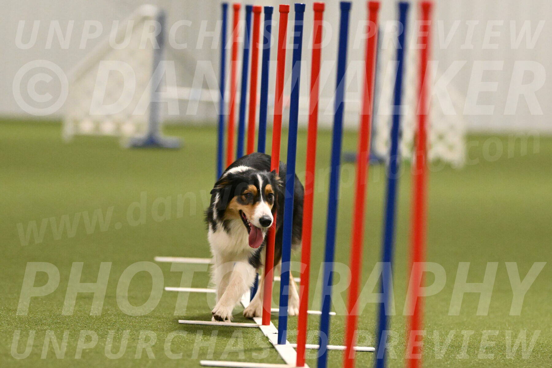 Lovey-Dovey-Yvette-Shipman-06696