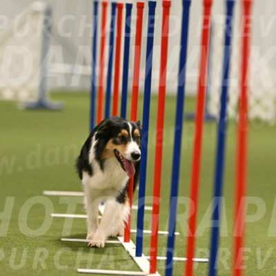 Lovey-Dovey-Yvette-Shipman-06697