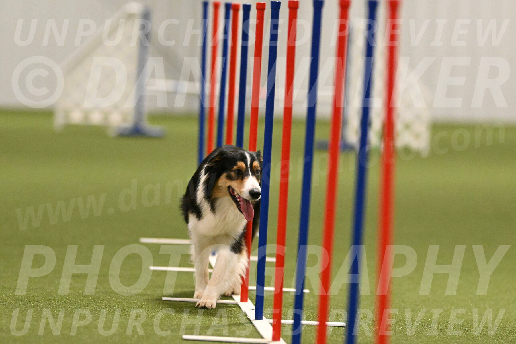 Lovey-Dovey-Yvette-Shipman-06697