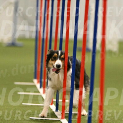 Lovey-Dovey-Yvette-Shipman-06698