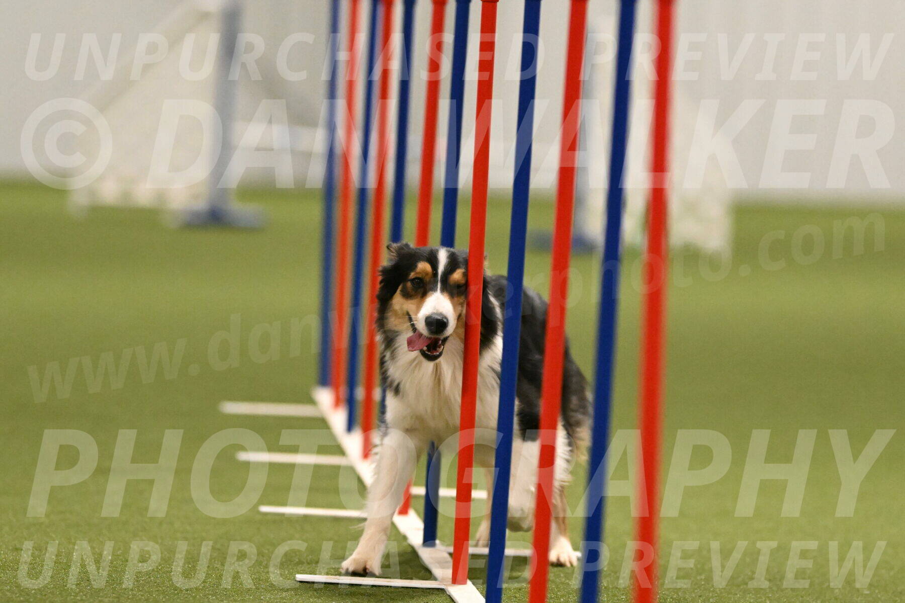 Lovey-Dovey-Yvette-Shipman-06698