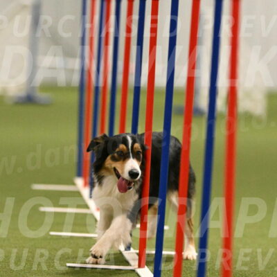 Lovey-Dovey-Yvette-Shipman-06699