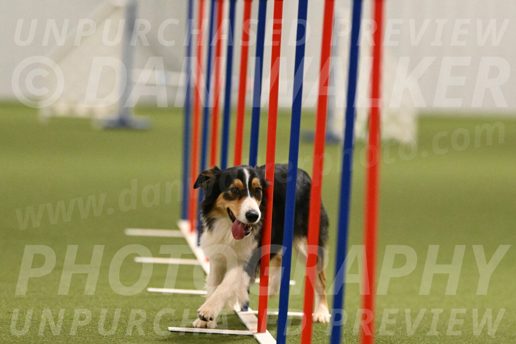 Lovey-Dovey-Yvette-Shipman-06699