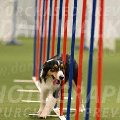 Lovey-Dovey-Yvette-Shipman-06700